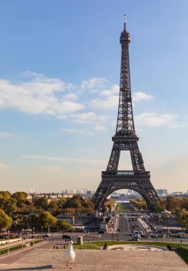 Trocadero Eyfel Kulesi'nden manzara. Parisians ve turistler güneşli bir sonbahar günü zevk. Güvercinler ön üzerinde