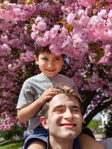 家庭和快乐的生活方式概念 幸福的全家福 孩子在樱花的背景下和他父亲玩耍 — 图库照片