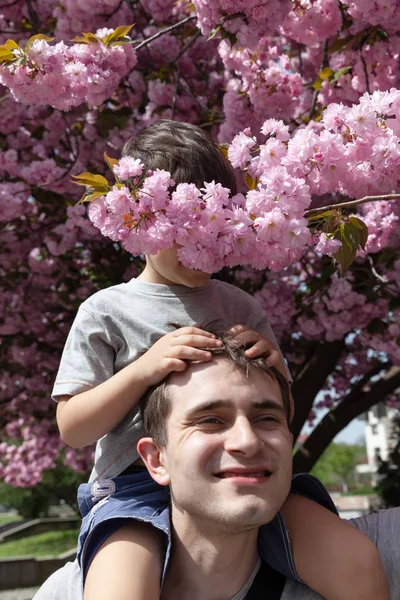 Aile Mutlu Yaşam Tarzı Kavramı Mutlu Aile Portresi Kiraz Çiçekleri — Stok fotoğraf