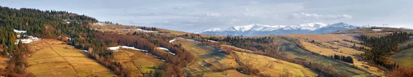 Belleza Naturaleza Panorama Picos Nevados Las Montañas Cárpatas Ucrania Europa — Foto de Stock