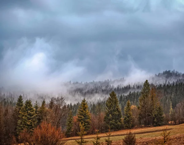 Schoonheid Van Natuur Mistige Ochtend Bergen Karpaten Oekraïne Europa — Stockfoto