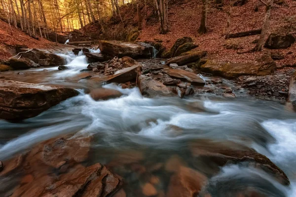 Arroyo forestal en las montañas Cárpatas. Ucrania . —  Fotos de Stock