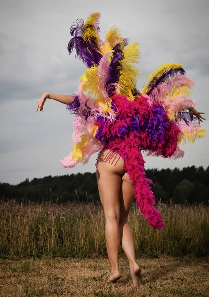 Mulher nua em traje de carnaval colorido brilhante — Fotografia de Stock