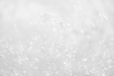 Bulanık çimen çiçekler arka plan