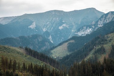 milli park yüksek tatra