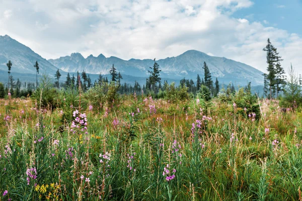 Národní park Vysoké Tatry — Stock fotografie