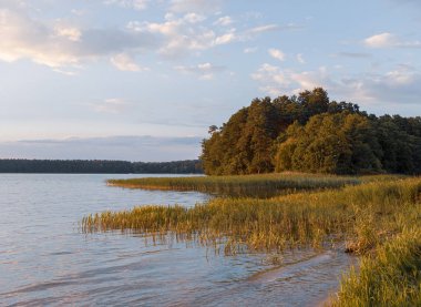 Augustow'daki Biale Gölü. Polonya