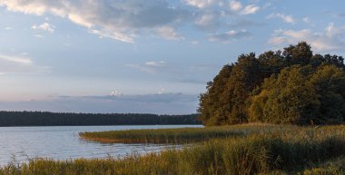 Augustow'daki Biale Gölü. Polonya