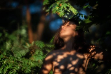 orman arka planda güneş ışığında çıplak kadın