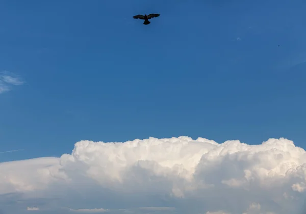 Nubes de cúmulos blancos — Foto de Stock