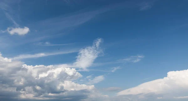 Nuages cumulus blancs — Photo