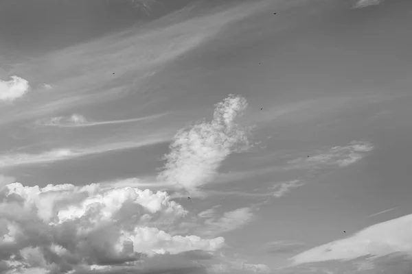 Nubes de cúmulos blancos — Foto de Stock