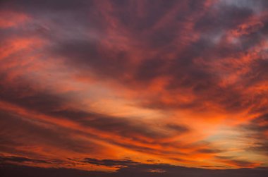 Soyut doğa arkaplanı