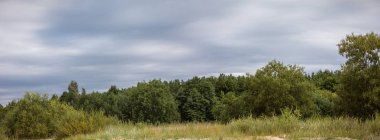 Baltık plaj manzara