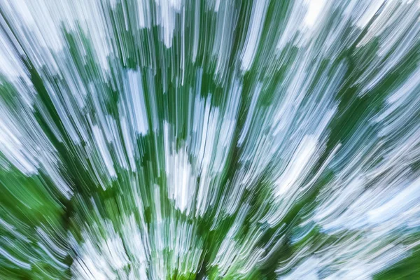 Green trees in motion blur — Stock Photo, Image