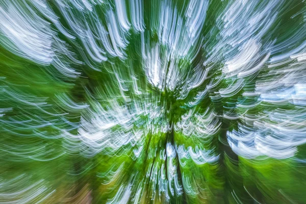 Zelené stromy ve rozostření pohybu — Stock fotografie