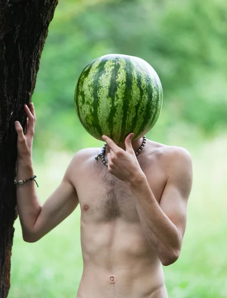 Koncepce ekologického stravování a zdravého životního stylu — Stock fotografie