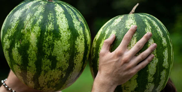 Alimentos orgânicos e conceito de estilo de vida saudável — Fotografia de Stock