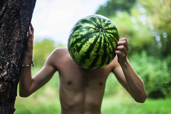 Koncepce ekologického stravování a zdravého životního stylu — Stock fotografie