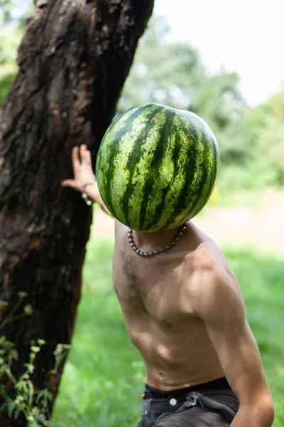 Koncepce ekologického stravování a zdravého životního stylu — Stock fotografie