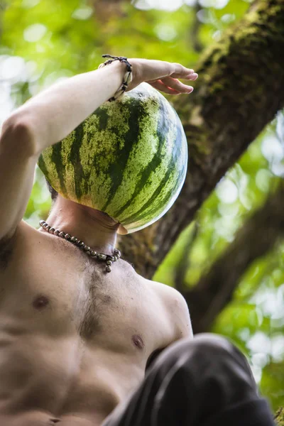 Comida ecológica y concepto de estilo de vida saludable —  Fotos de Stock