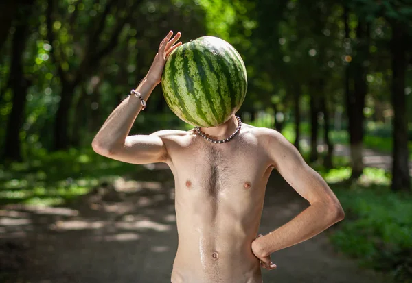 Alimentos orgânicos e conceito de estilo de vida saudável — Fotografia de Stock