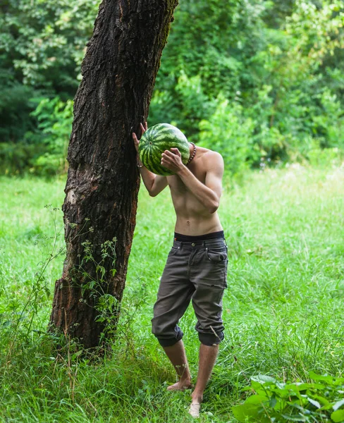 Cibo biologico e stile di vita sano concetto — Foto Stock