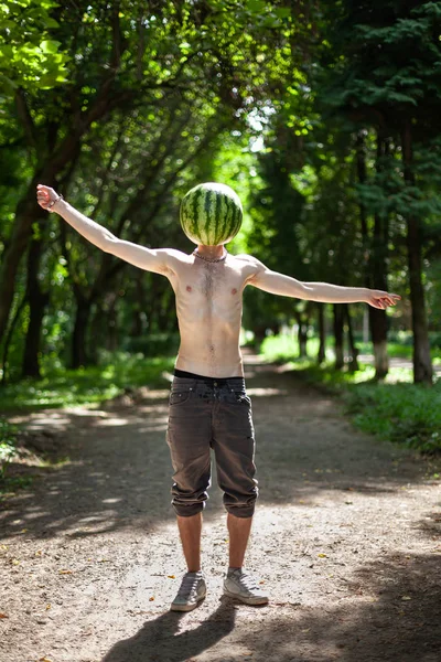 Biologisch voedsel en gezond lifestyle concept — Stockfoto