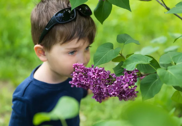 Chlapec blízko kvetoucích lilaců — Stock fotografie