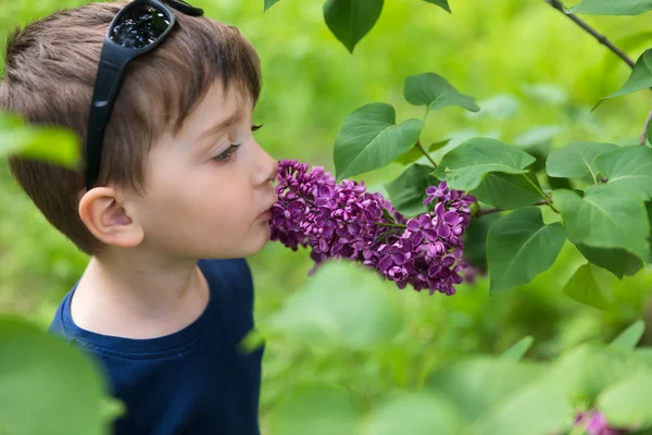 Мальчик рядом с цветущей сиренью — стоковое фото