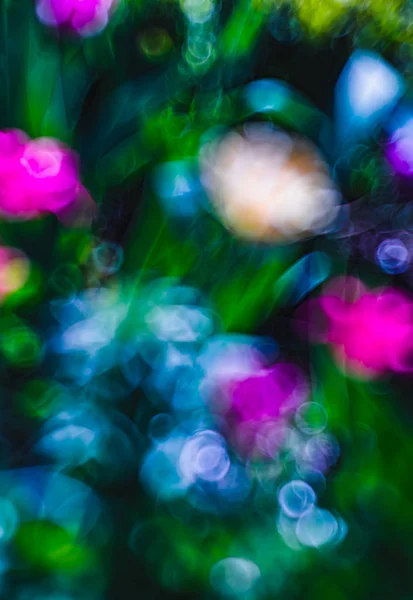 Абстрактное размытое изображение весеннего сада — стоковое фото