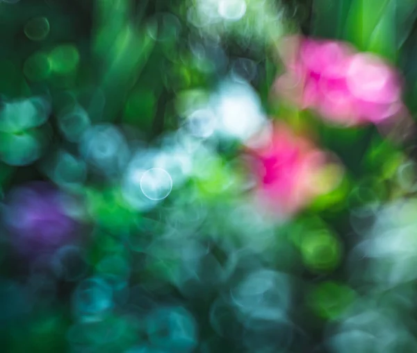 Imagen borrosa abstracta de un jardín de primavera — Foto de Stock