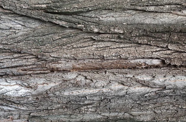 Casca Árvore Velha Para Fundo Texturizado Natural — Fotografia de Stock