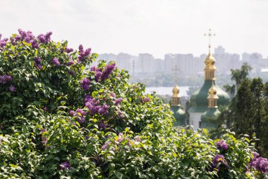 Ukrayna, Kyiv 'deki Hryshko Ulusal Botanik Bahçesi' nde Vydubychi Manastırı, Dnipro Nehri ve leylak çiçekleri görülüyor.