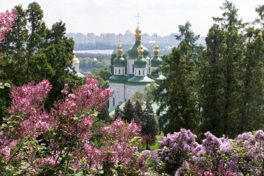 Ukrayna, Kyiv 'deki Hryshko Ulusal Botanik Bahçesi' nde Vydubychi Manastırı, Dnipro Nehri ve leylak çiçekleri görülüyor..