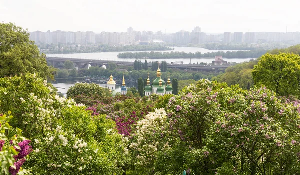 Ukrayna Kyiv Deki Hryshko Ulusal Botanik Bahçesi Nde Vydubychi Manastırı — Stok fotoğraf