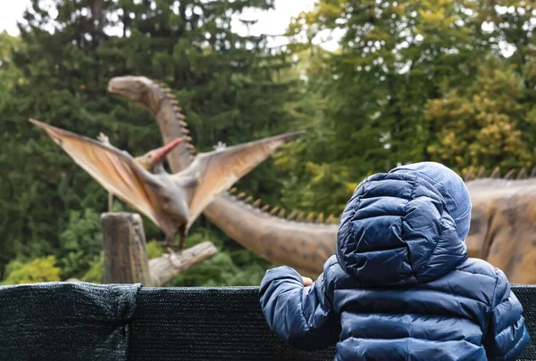 Дворічний Хлопчик Парку Динозаврів Дивиться Парканом Групі Динозаврів — стокове фото