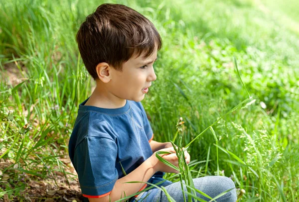 Happy Lifestyle Concept Little Boy Sits Green Grass Light Sun — Stock Photo, Image