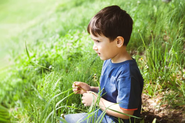 Conceito Estilo Vida Feliz Menino Senta Entre Grama Verde Luz — Fotografia de Stock