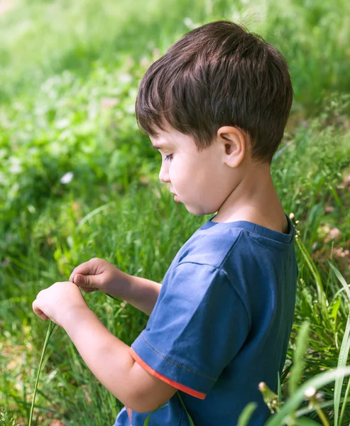 Concept Vie Heureuse Petit Garçon Est Assis Milieu Herbe Verte — Photo