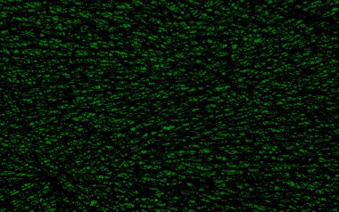 Soyut arkaplan dokusu. Kırık cam dokusu. Çatlak pencerenin arkaplanı