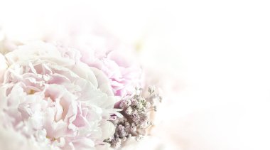 Çiçek arkaplan. Fotokopi alanı olan güzel çiçek buketini kapat