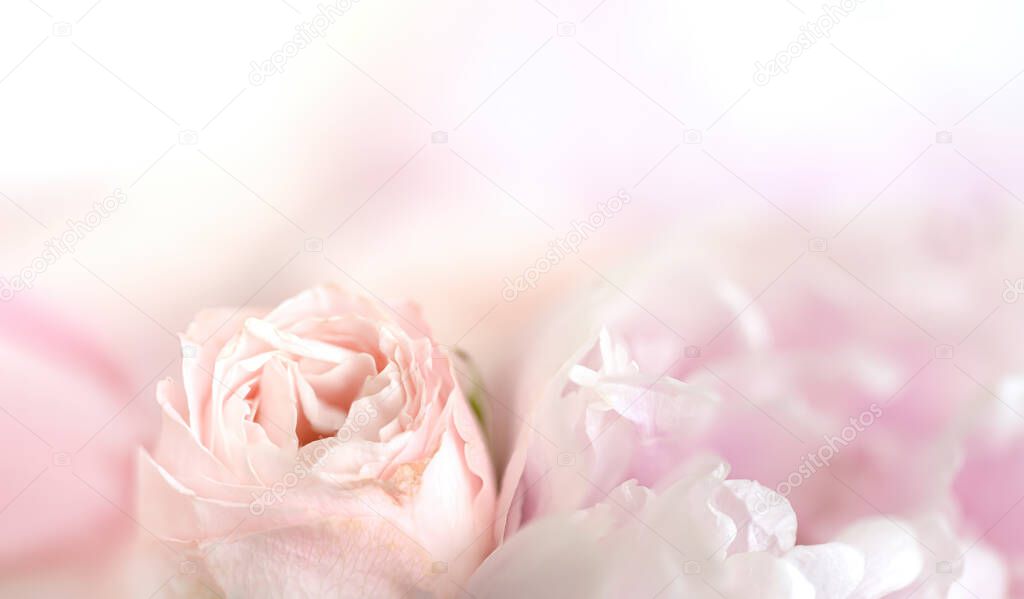 Floral background. Close up fragment of a bouquet of beautiful flowers