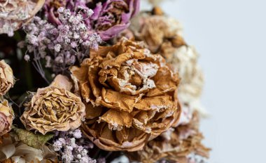 Kuru buket. Bir buketteki kurumuş çiçeklerin yakın plan görüntüsü. Yaşam ve ölüm kavramı. Solmuş çiçek arkaplanı