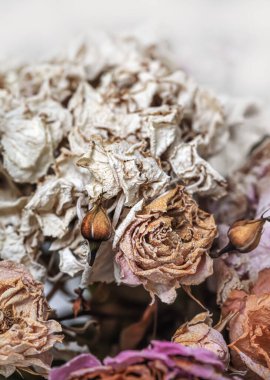 Kuru buket. Bir buketteki kurumuş çiçeklerin yakın plan görüntüsü. Yaşam ve ölüm kavramı. Solmuş çiçek arkaplanı