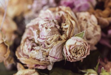 Kuru buket. Bir buketteki kurumuş çiçeklerin yakın plan görüntüsü. Yaşam ve ölüm kavramı. Solmuş çiçek arkaplanı