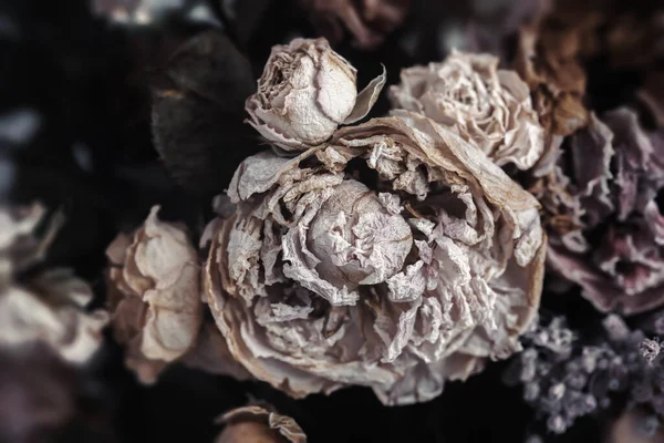 Trockenes Bouquet Nahaufnahme Von Getrockneten Blumen Einem Strauß Leben Und — Stockfoto