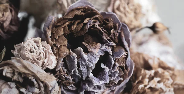 Dry Bouquet Close Image Dried Flowers Bouquet Life Death Concept — Stock Photo, Image