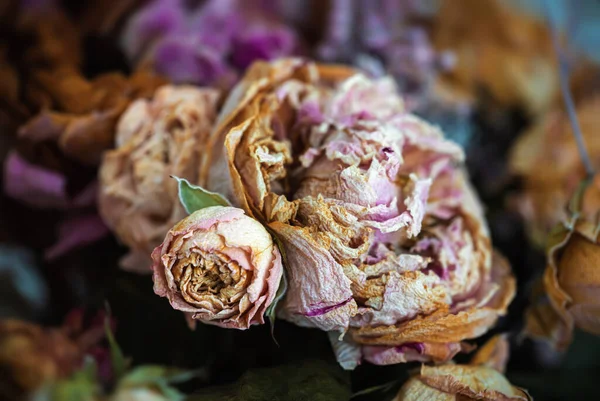 Buquê Seco Imagem Close Flores Secas Buquê Conceito Vida Morte — Fotografia de Stock