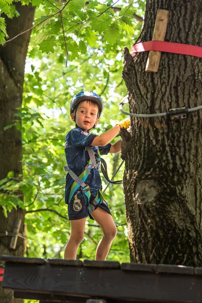 Uzhhorod Ukraine July 2020 Extreme Sport Adventure Park 小男孩从高高的树间穿过电缆 — 图库照片